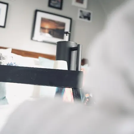 Apartment Modern Penthouse In Town